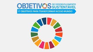 O que é a Agenda 2030 [upl. by Olmsted941]