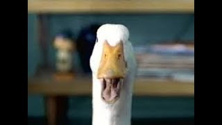 THE VERY FIRST AFLAC COMMERCIAL  2000 [upl. by Ecnaret433]