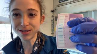 Gel ladders  tips and tricks for using molecular weight markers [upl. by Althea245]