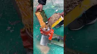 feed hammer mills animal feed pellet machine farming machine [upl. by Imer]