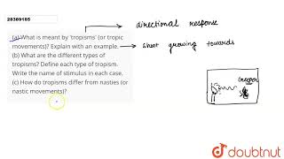 a What is meant by \tropisms\ or tropic movements Explain with an example b What a [upl. by Duane]