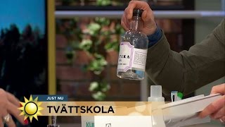 Ättika och citron  för den som vill tvätta rätt  Nyhetsmorgon TV4 [upl. by Lebasi915]