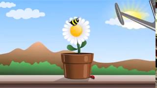 Flowers and ladybugs Cartoon Animation [upl. by Nnylsoj]