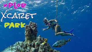 Our experience at XCARET PARK amp XPLOR while staying at Hotel XCARET ARTE [upl. by Pool]