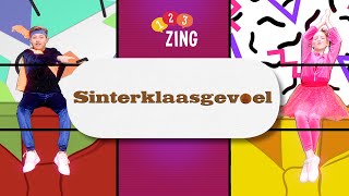 123ZING  Sinterklaasgevoel [upl. by Elleron]