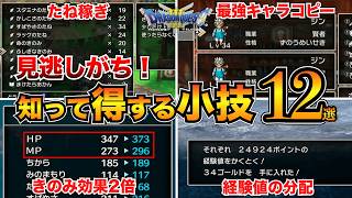 【ドラクエ3リメイク】意外と知らない？見逃しがちな小技12選！たね稼ぎ経験値分配あなほり【HD2D】 [upl. by Nevuer894]