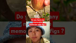 Do you have any memorable memories with figs fruit trendingshorts farm [upl. by Arahs]