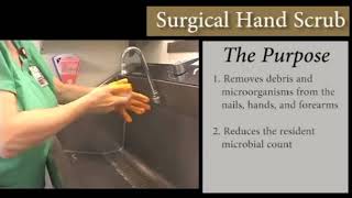 Aseptic Nursing Technique in the OR Surgical Hand Scrub [upl. by Frankhouse]