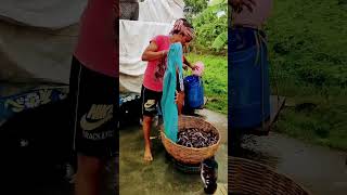 fish farming  fish farming in india  fish farming business fishing fish fishvideo shorts [upl. by Enrahs163]