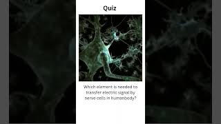 whichelement is needed for transferring electricsignal by nervecellshortsfeed shortsquizaxon [upl. by Nnawtna]