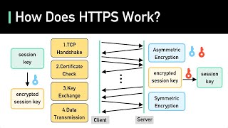 SSL TLS HTTPS Explained [upl. by Aicirtan]