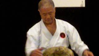 Higaonna Sensei Rock Hand Conditioning demoMOV [upl. by Haelhsa984]