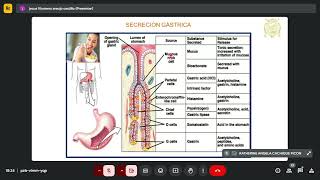 Secreción digestiva y absorción intestinal fisiología hepática [upl. by Akirahc]