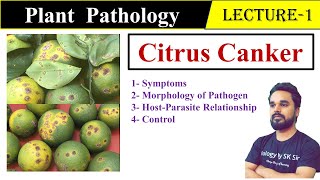 Citrus Canker Disease  Plant Pathology  SK Sir [upl. by Bartholomeus]