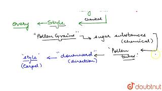 RESPONSE OF PLANTS TO CHEMICAL CHEMOTROPISM [upl. by Alick]