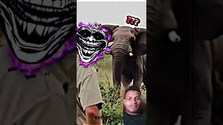 w man😱😈👌elephant trollfaceedit edit animals funny shorts youtubeshorts [upl. by Tabbatha]