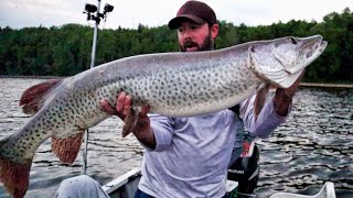 TOP 3 MUSKIES OF 2023  Including A GIANT 535quot Musky [upl. by Filide575]