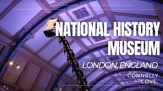 The Natural History Museum  London  Museums in London  England  Things To Do In London [upl. by Nelo]