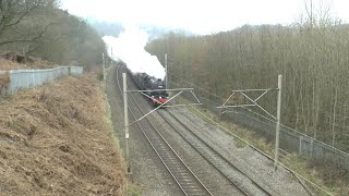 44871 with The Stratford Flyer  09032024 [upl. by Hutton]