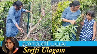 சூறாவளி புயல் in our Garden  Steffi Vlog in Tamil [upl. by Lehplar594]