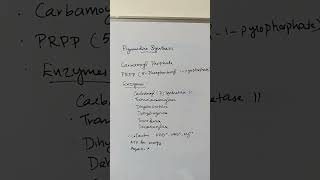 Purine synthesis pyrimidine synthesis purines purine pyrimidinespyrimidinenucleicacids [upl. by Shererd]