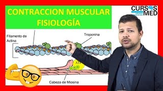 CONTRACCIÓN MUSCULAR FISIOLOGÍA GUYTON explicada FACIL ✅ [upl. by Erna44]