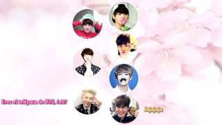 BTS Bangtan Boys  방탄소년단  SKIT Expectation Sub Español [upl. by Sybille]