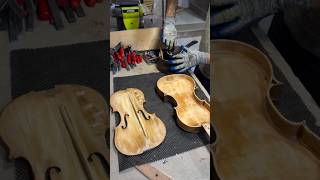 Renowned old violin 🎻 new violin musical instrument  shorts [upl. by Sirtimid]