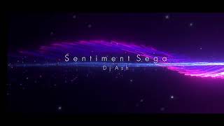 Tii Alexandre  Sentiment Sega  Dj Ash Remix [upl. by Nea338]