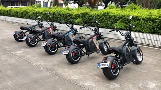 Harley electric scooter Rooder Runner Citycoco Chopper 3000w 30ah Europe stock Dutch warehouse [upl. by Kari]