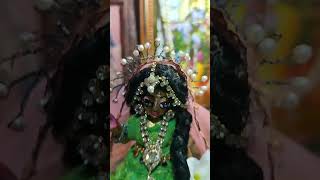 Sri Radha Madhava [upl. by Airdnaxila]