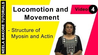 Locomotion and Movement  NEET  Structure of Myosin and Actin  Neela Bakore Tutorials [upl. by Eittam]