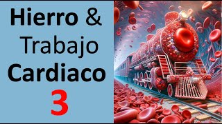 Hierro en sangre 📌 Hemoglobina ✅ Trabajo Cardiaco y Metabolismo de Hierro [upl. by Archibaldo]