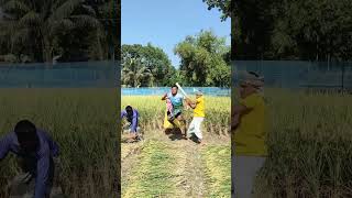 Aunt in the paddy field funny comedy foryou shorts [upl. by Ellenaej890]