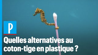 Interdiction du cotontige en plastique  les alternatives pour le remplacer [upl. by Clement]