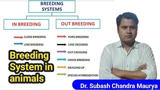 Different Breeding System in AnimalAnimal genetics and breedingCrazy Vet ClassesVOLDO exam [upl. by Irek]