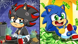 Rich and Poor But Baby  Rich amp Poor  Funny Story  Sonic The Hedgehog 2 Animation [upl. by Enyar570]