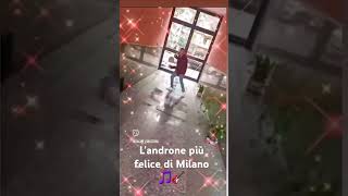 Landrone più felice di Milano Salvo il cameriere più matto della storia dei camerieri 🤪🎵🎸 [upl. by Assil]