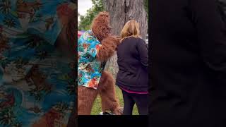 Sasquatch Calling Festival edm newmusic music bigfoot [upl. by Eimile]