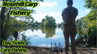 Day ticket carp fishing  Rosehill Carp Fishery [upl. by Rogers769]