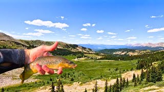 Fly Fishing One Of The Best Spring Creeks in Colorado [upl. by Anirpas852]