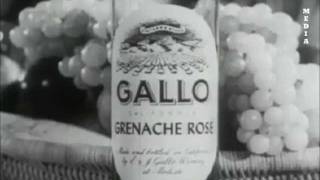 Gallo Wine Commercial  1950s [upl. by Noryd]