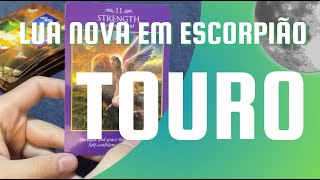 ♉️🌑 TAROT TOURO LUA NOVA EM ESCORPIÃO [upl. by Eniruam]