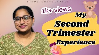 My Second Trimester Journey  Pregnancy Series  Bindu Chevulapelli [upl. by Gnehc]