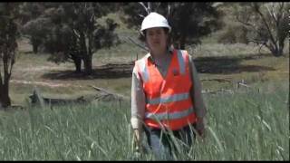 Regenerating the Murrumbidgee to Googong Pipeline Corridor [upl. by Yllak]