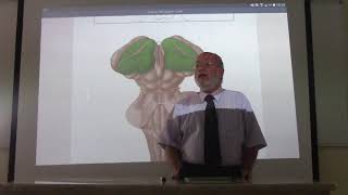 Neuroanatomy 76  Diencephalon  part 1   by Dr Wahdan [upl. by Enaxor]