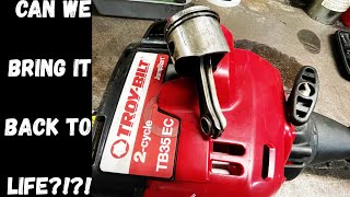 Troy Bilt TB35EC Weed Whacker Engine Swap [upl. by Arzed839]