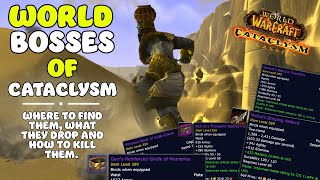 The 5 bosses of Cataclysm that drop PRE RAID BIS  Cataclysm Classic [upl. by Noremac]