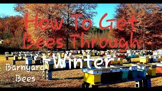 How To Get Bees Through Winter This Works [upl. by Crichton]