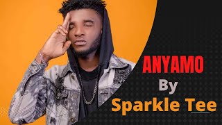 Sparkle Tee  Anyam Anyamo Anyamo Official Video HustleDotcom Anyamo Sparkletee [upl. by Aikahc]